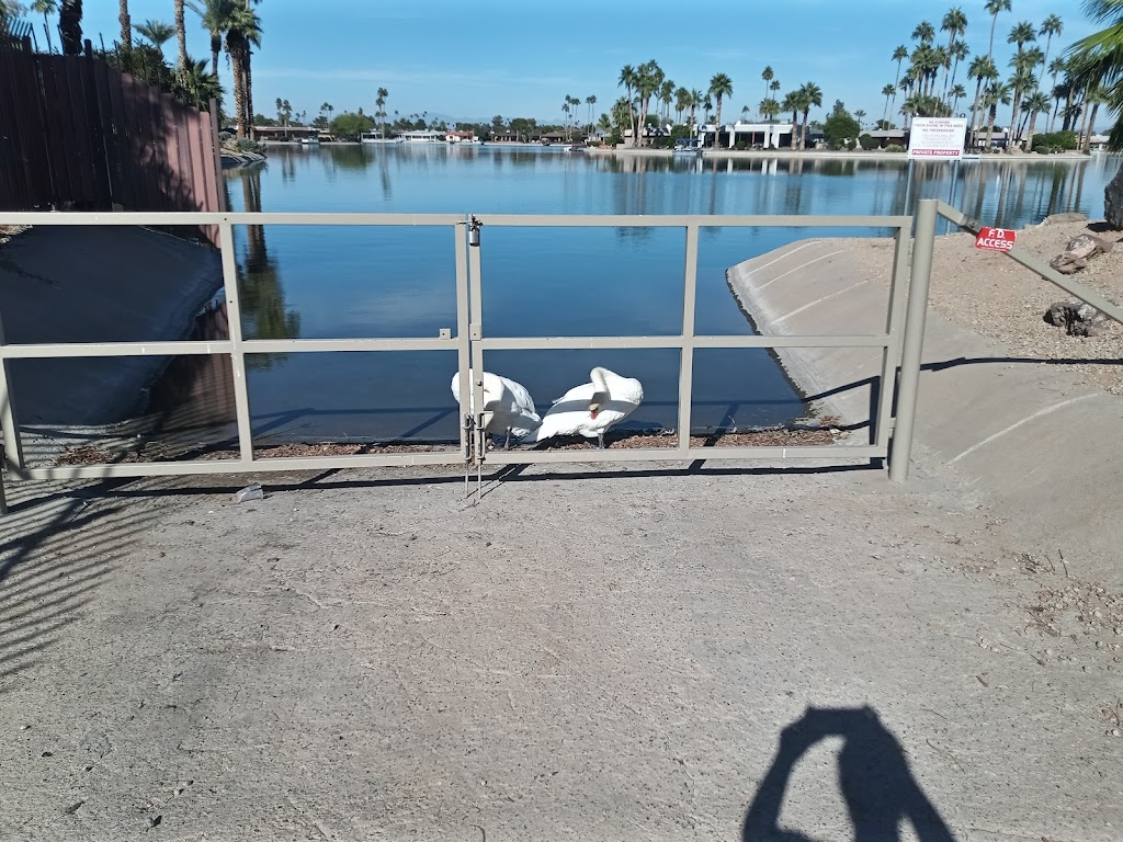 Georges Lakeview Café | cafe | 10502 W Thunderbird Blvd, Sun City, AZ 85351, USA | 6238763057 OR +1 623-876-3057