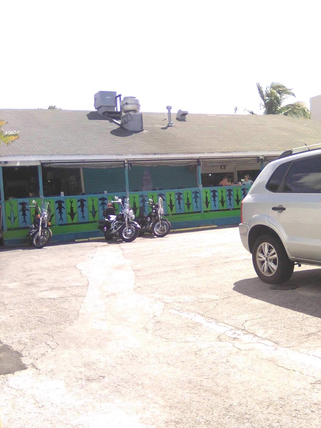 The Reef | restaurant | 14701 Gulf Blvd, Madeira Beach, FL 33708, USA | 7279543402 OR +1 727-954-3402