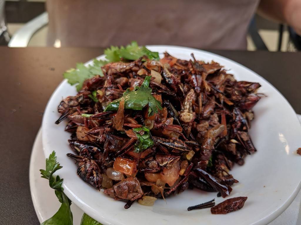 Kie-Gol-Lanee | restaurant | 5004 N Sheridan Rd, Chicago, IL 60640, USA | 8722419088 OR +1 872-241-9088