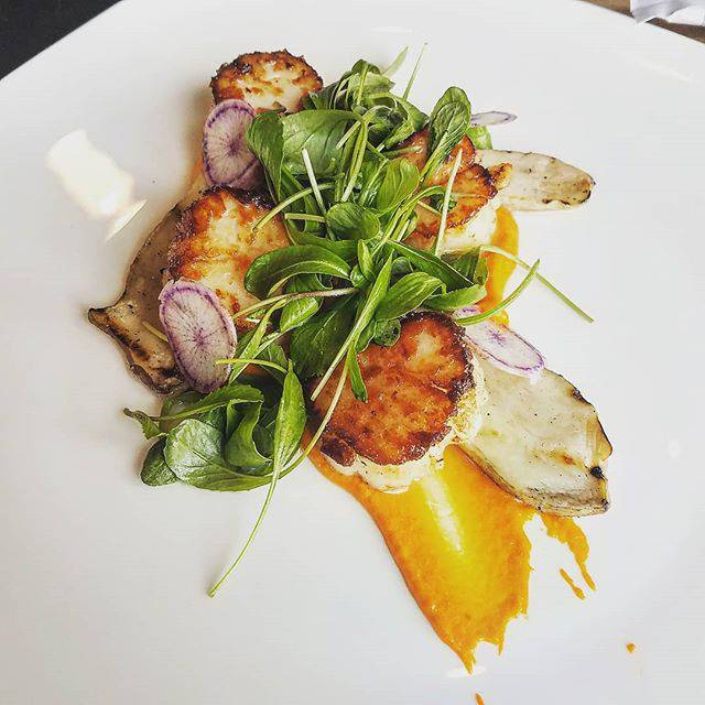 Yoshi Sushi Bar and Eatery | restaurant | 33 Elm St, East Aurora, NY 14052, USA | 7167149372 OR +1 716-714-9372