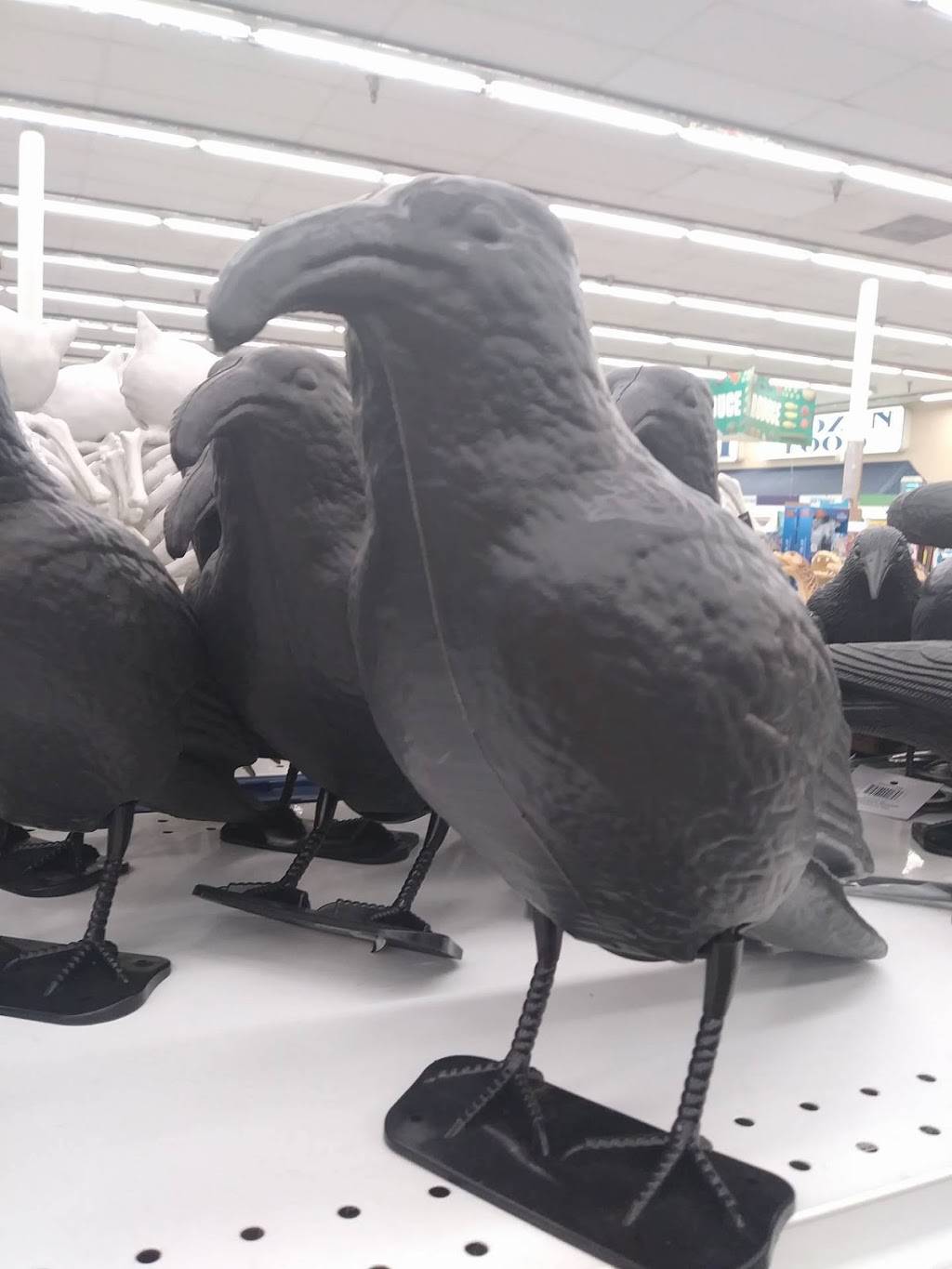 Circle K | meal takeaway | 295 N Waterman Ave, San Bernardino, CA 92408, USA | 9093815700 OR +1 909-381-5700