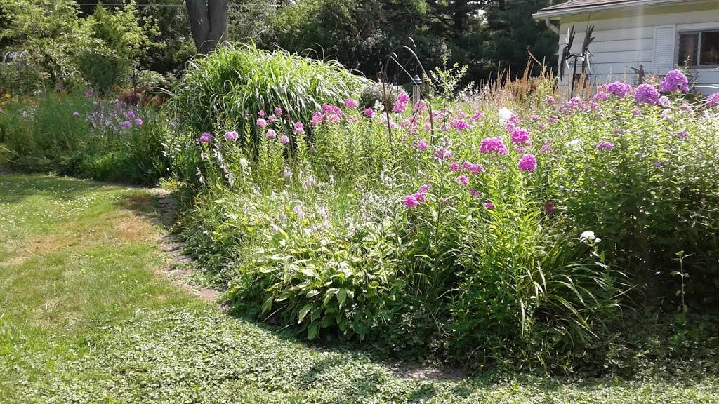 DeMitos Saloon | restaurant | 335 E Kenilworth Ave, Villa Park, IL 60181, USA | 6305301700 OR +1 630-530-1700