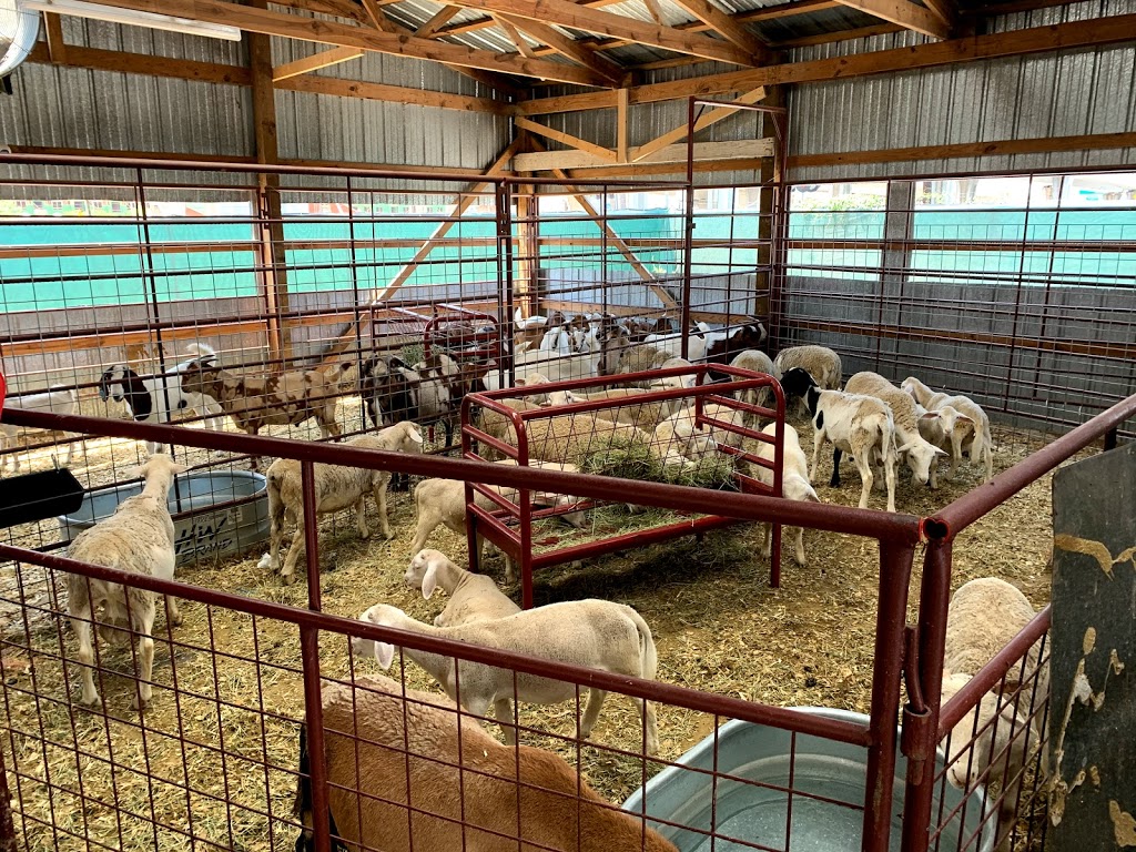 Alamo Farms | restaurant | 200 Chihuahua St, San Antonio, TX 78207, USA | 2109982800 OR +1 210-998-2800