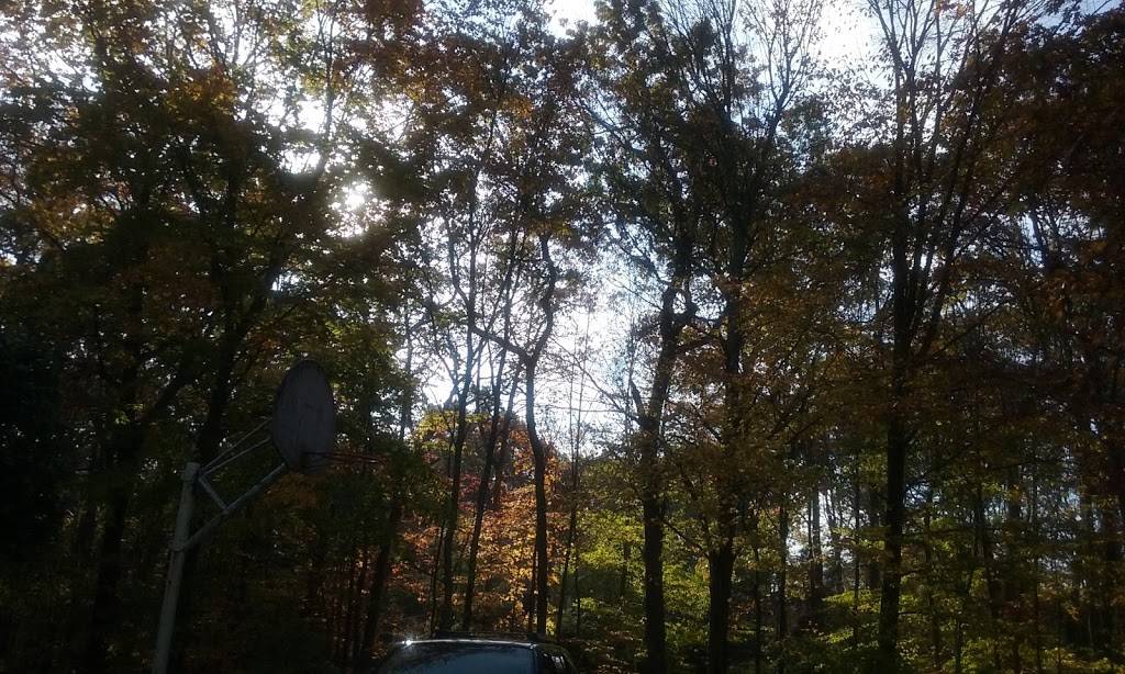 peter the greek house number | restaurant | 456 Cheese Spring Rd, New Canaan, CT 06840, USA | 2035243587 OR +1 203-524-3587