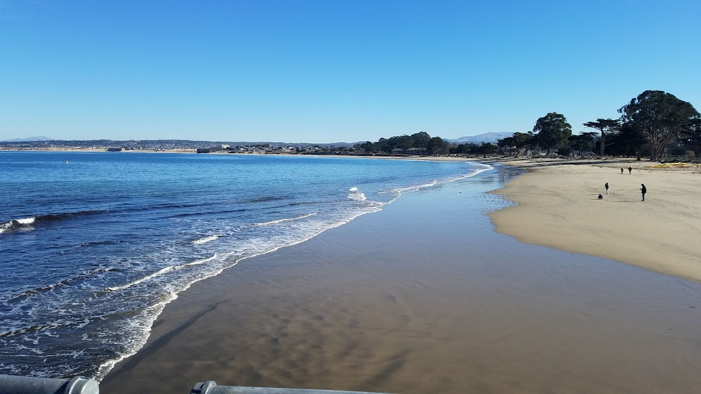 Sandbar & Grill | restaurant | Wharf II, Monterey, CA 93940, USA | 8313732818 OR +1 831-373-2818