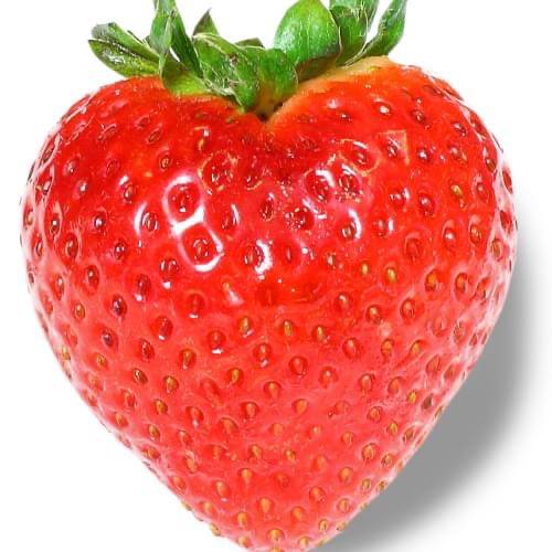 Strawberry Hills | restaurant | 1139 24th St, Des Moines, IA 50311, USA | 5155649260 OR +1 515-564-9260