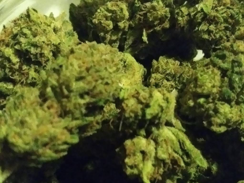 KFC | restaurant | 401 Stony Point Rd, Santa Rosa, CA 95401, USA | 7075280617 OR +1 707-528-0617