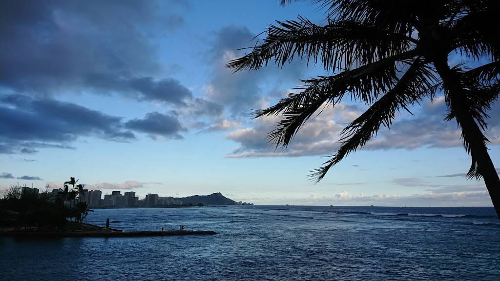 53 By The Sea | restaurant | 53 Ahui St, Honolulu, HI 96813, USA | 8085365353 OR +1 808-536-5353