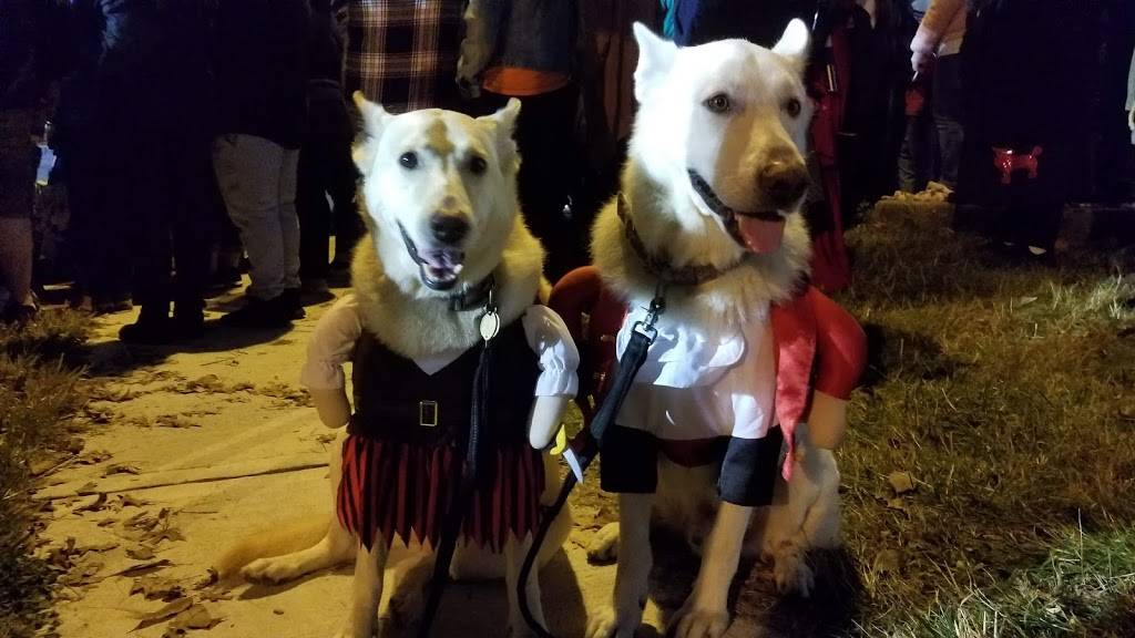 The Office Restaurant & Lounge | restaurant | 820 Main St, Toms River, NJ 08753, USA | 7323490800 OR +1 732-349-0800