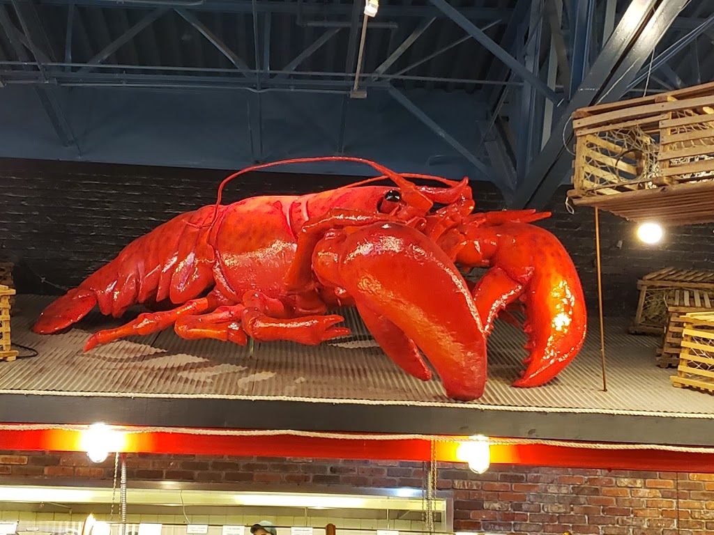Boston Lobster Feast | restaurant | 8731 International Dr, Orlando, FL 32819, USA | 4072488606 OR +1 407-248-8606