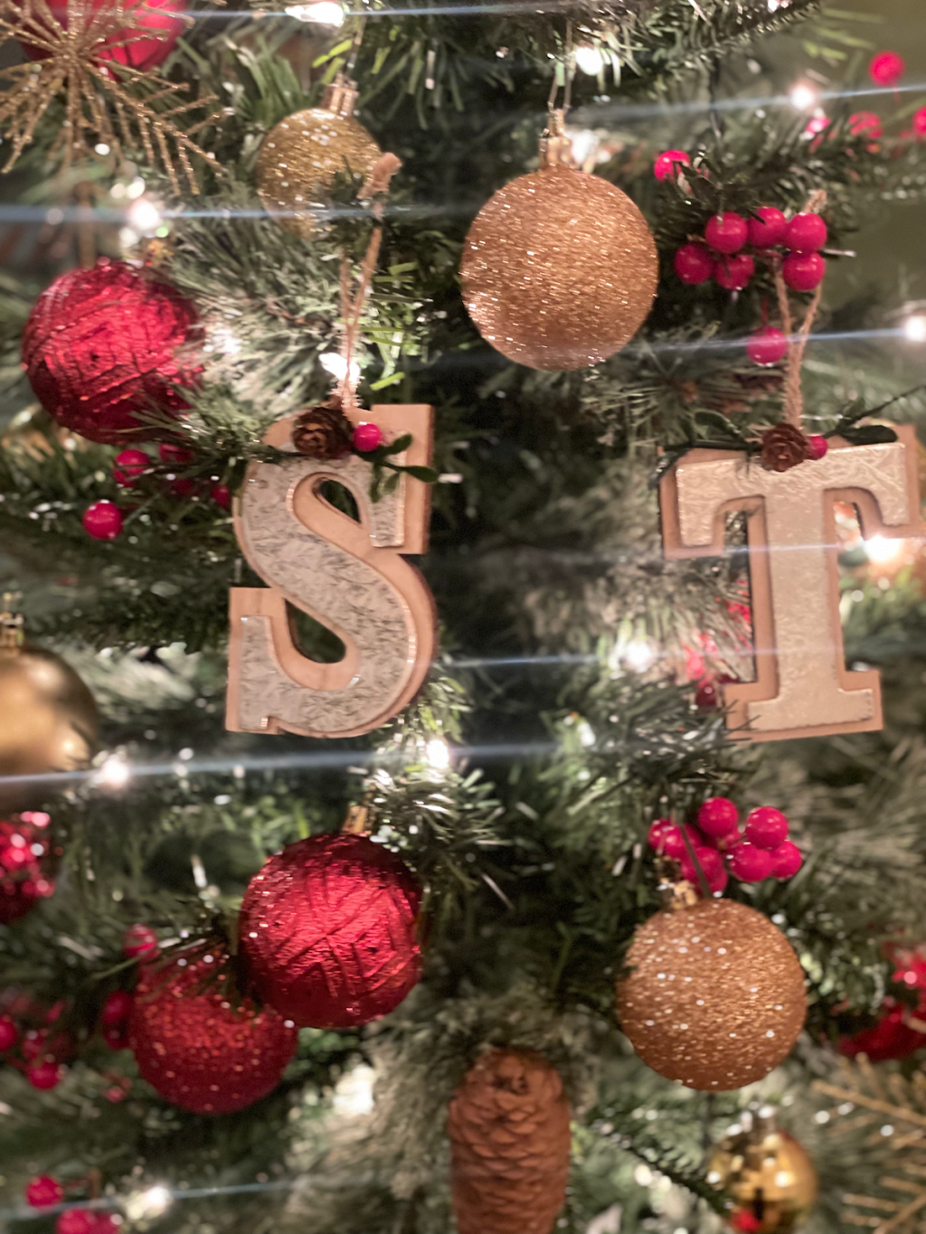 S & Teak Fine Dining | restaurant | 2246 W Armitage Ave, Chicago, IL 60647, USA | 7737998985 OR +1 773-799-8985