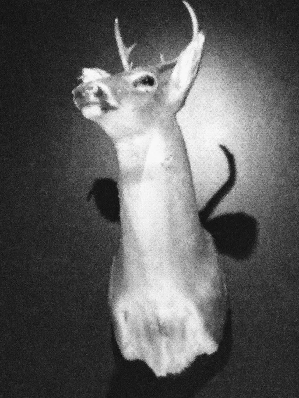 The Deer and The Dove | restaurant | 155 Sycamore St, Decatur, GA 30030, USA | 4047484617 OR +1 404-748-4617