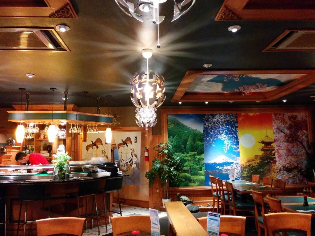 Sumo Japanese Restaurant | restaurant | 2009 977, CA-123, Albany, CA 94706, USA | 5105244700 OR +1 510-524-4700