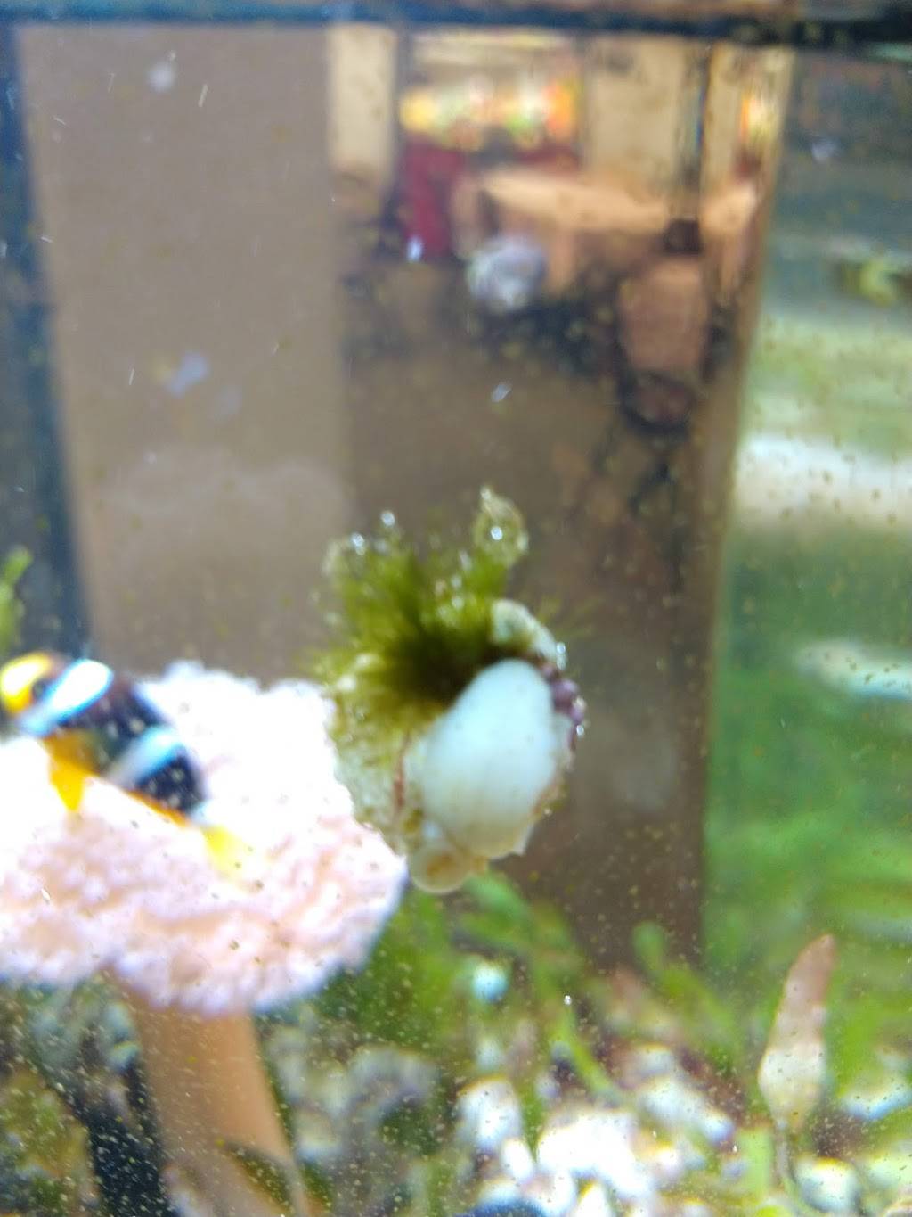 BC Pizza of Traverse City | restaurant | 3186 Lafranier Rd, Traverse City, MI 49686, USA | 2319959900 OR +1 231-995-9900