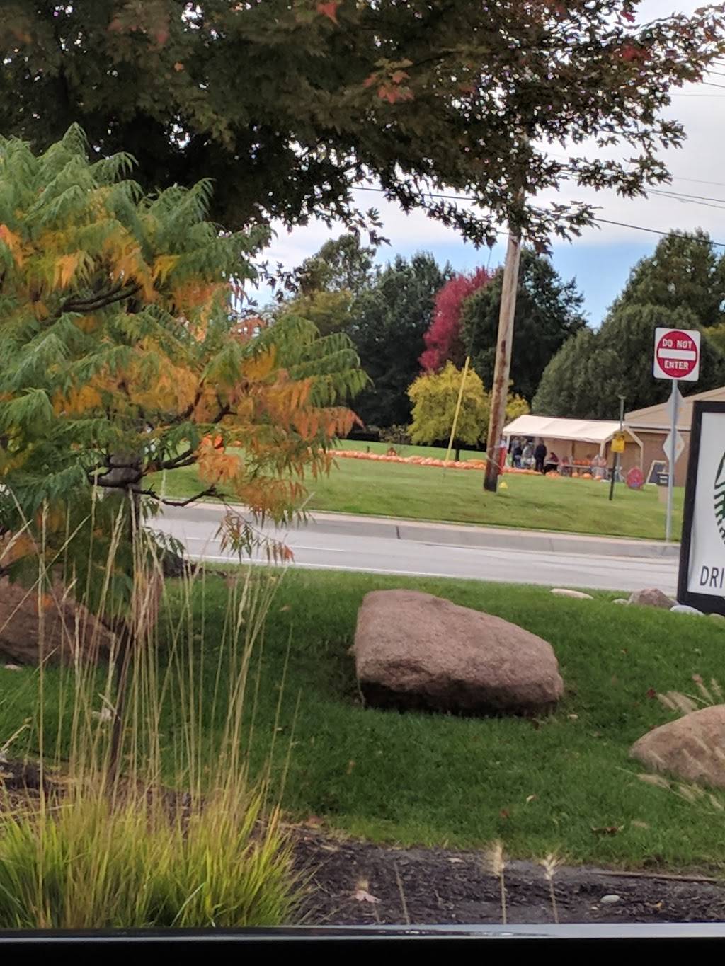 Starbucks | cafe | 15094 S, S Black Bob Rd, Olathe, KS 66062, USA | 9137687438 OR +1 913-768-7438