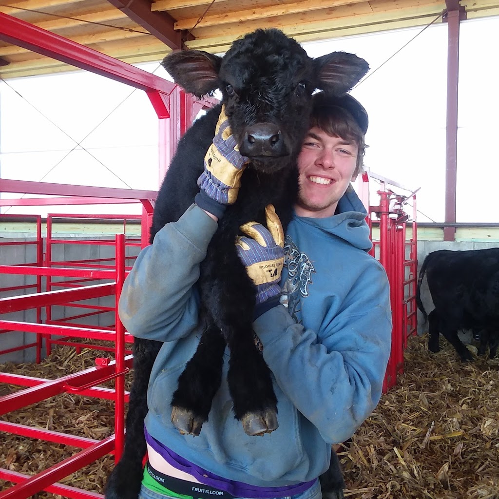 Timm Family Cattle LLC | restaurant | 3203 Jones-Delaware Rd, Monticello, IA 52310, USA | 3194807753 OR +1 319-480-7753