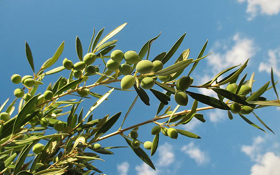 Katies Kitchen | restaurant | 1180 Oxford St E, London, ON N5Y 3M1, Canada | 5194555283 OR +1 519-455-5283