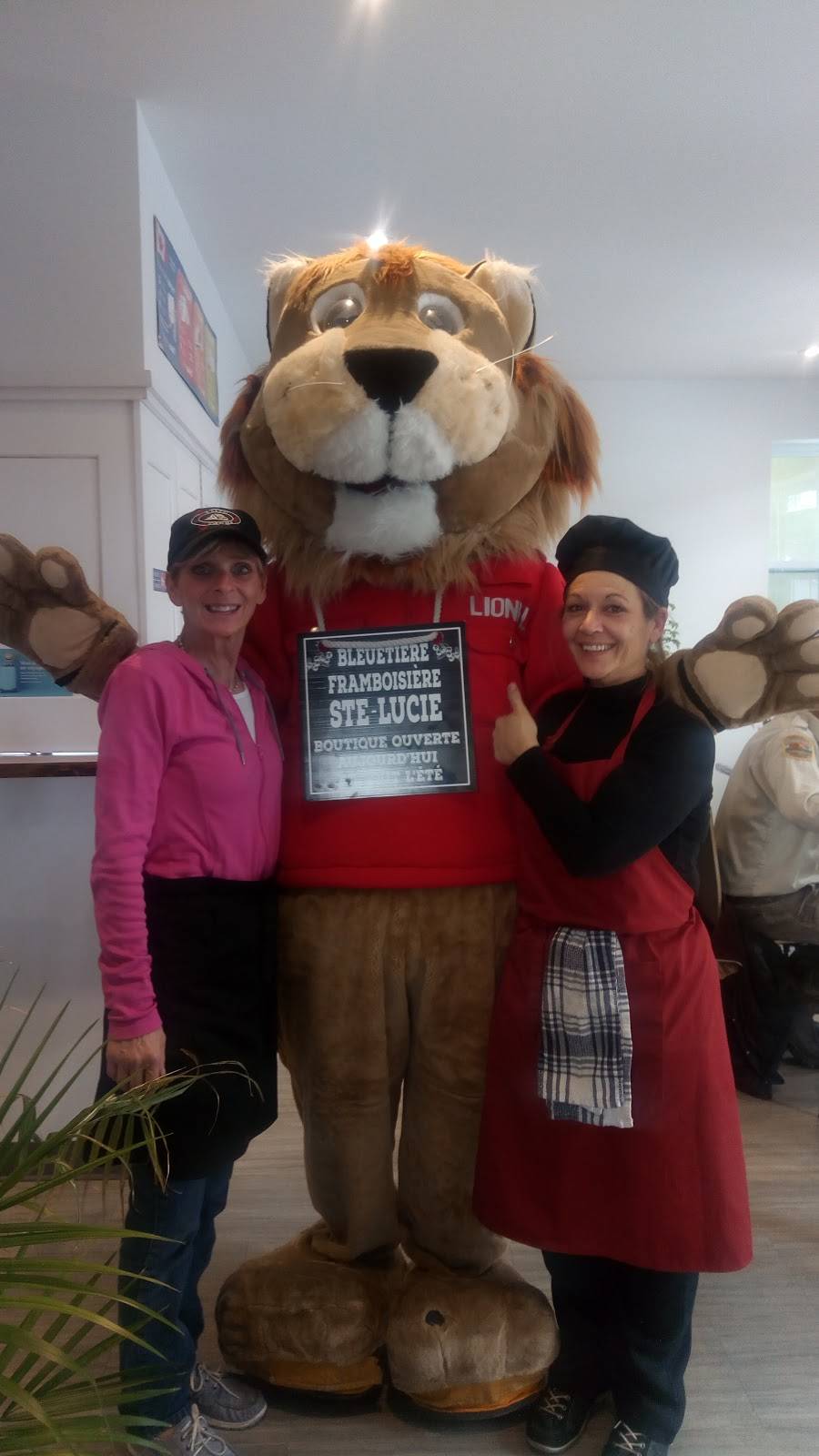 Le Bistro de la Grange | restaurant | 2053 Chemin de Ste Lucie, Sainte-Lucie-des-Laurentides, QC J0T 2J0, Canada | 8193211001 OR +1 819-321-1001