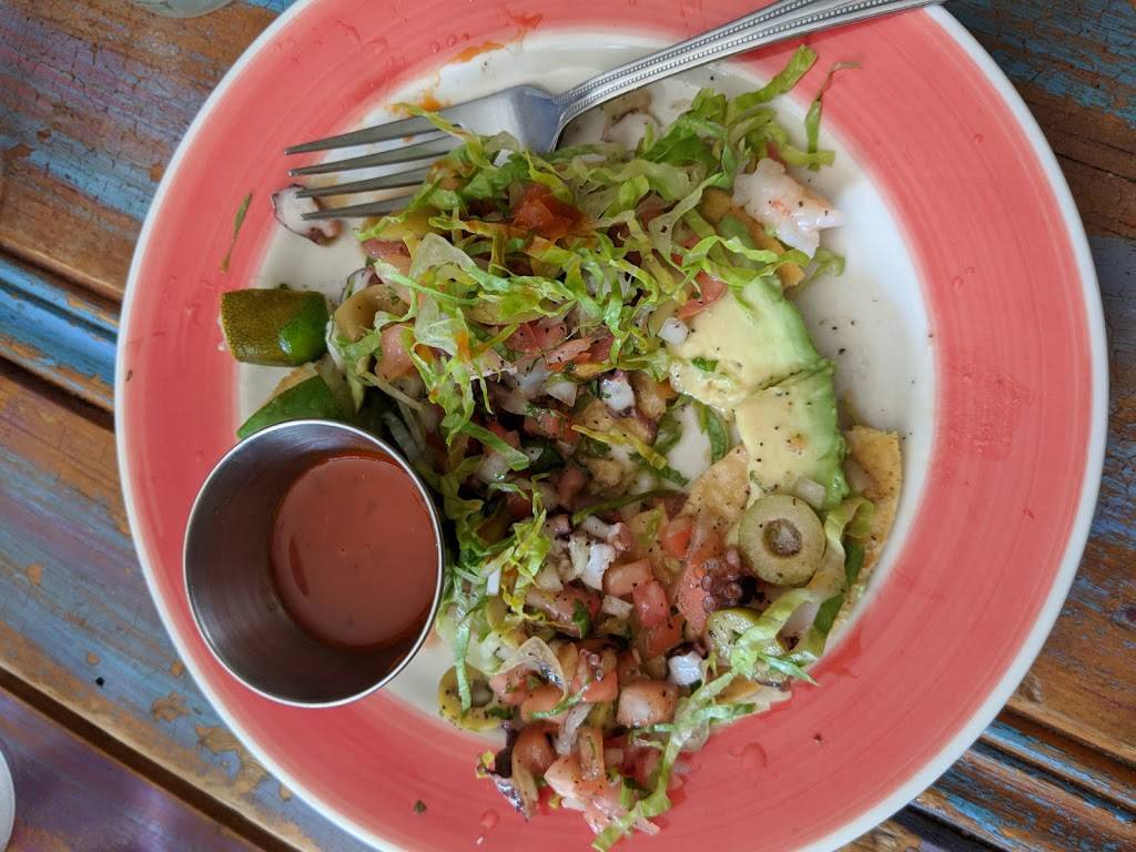 Citrico | cafe | 681 Washington Ave, Brooklyn, NY 11238, USA | 3479554519 OR +1 347-955-4519