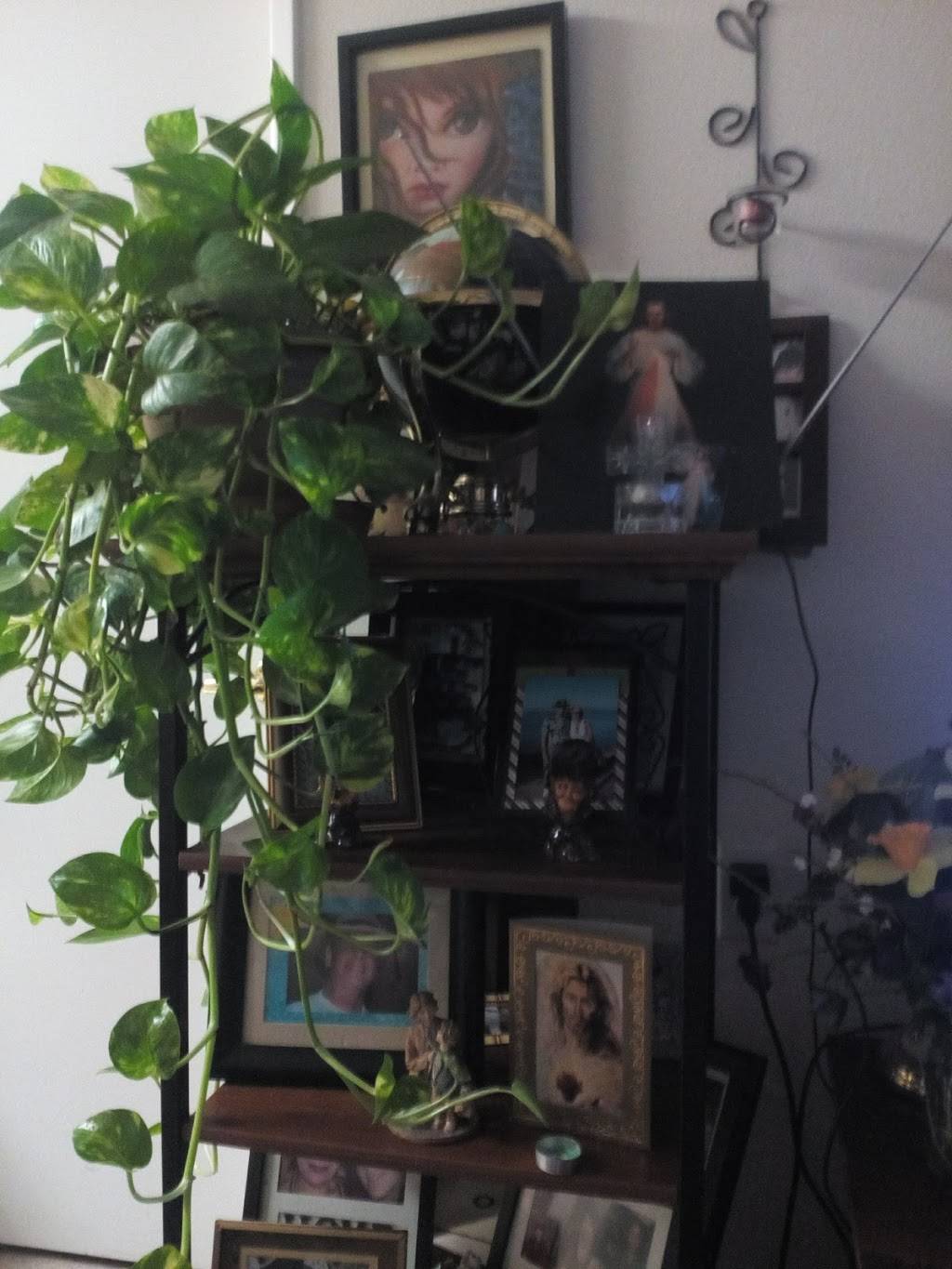 China Run | restaurant | 1714 E McFadden Ave # F, Santa Ana, CA 92705, USA | 7148359038 OR +1 714-835-9038