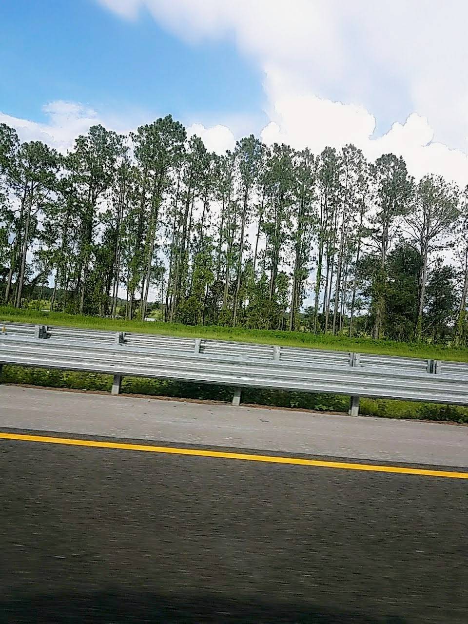 Barrington Hill Weddings and Events | restaurant | 16117 Lake Iola Rd, Dade City, FL 33523, USA | 7276436128 OR +1 727-643-6128