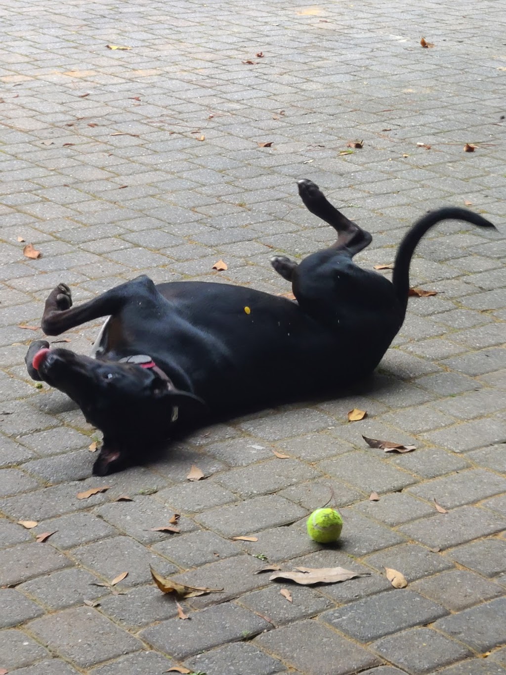 Sweet Southern Comfort | restaurant | 172 FL-20, Freeport, FL 32439, USA | 8508806645 OR +1 850-880-6645