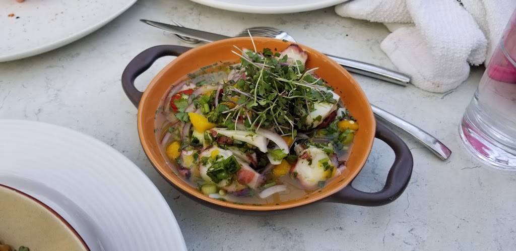 19 Raw Oyster Bar | restaurant | 19 Church St, Edgartown, MA 02539, USA | 7742240550 OR +1 774-224-0550