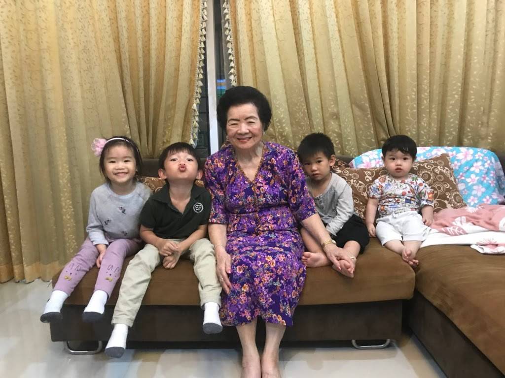 Papa Johns Pizza | restaurant | 461 Park Rd S, Oshawa, ON L1J 8R3, Canada | 9057257070 OR +1 905-725-7070