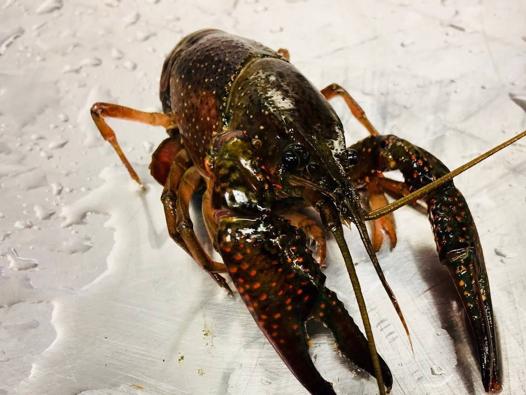 Kais Crab Boil | restaurant | 839 Bethel Rd, Columbus, OH 43214, USA | 6148690652 OR +1 614-869-0652