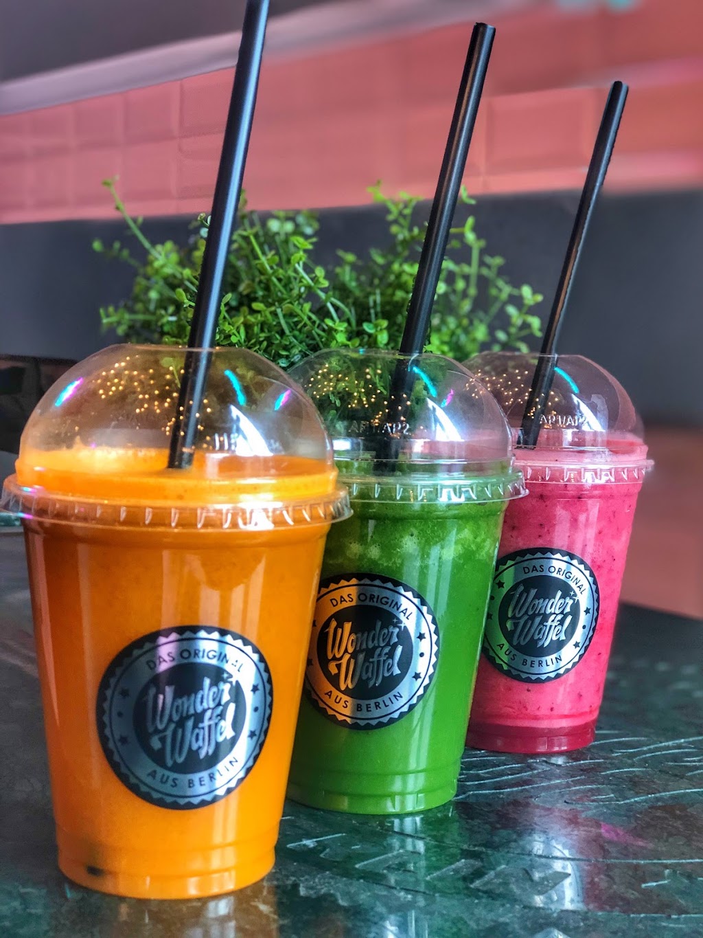 Wonder Waffel Tampa | restaurant | 14379 N Dale Mabry Hwy, Tampa, FL 33618, USA | 8135331991 OR +1 813-533-1991