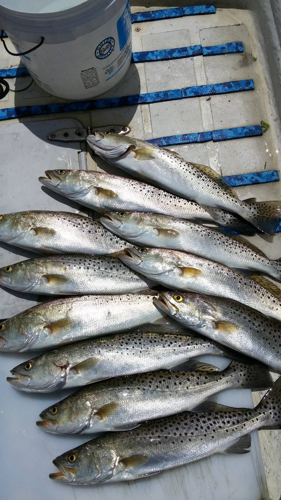 Over the Waterfront | restaurant | 4470 Escondido Ln, Captiva, FL 33924, USA | 2394724762 OR +1 239-472-4762