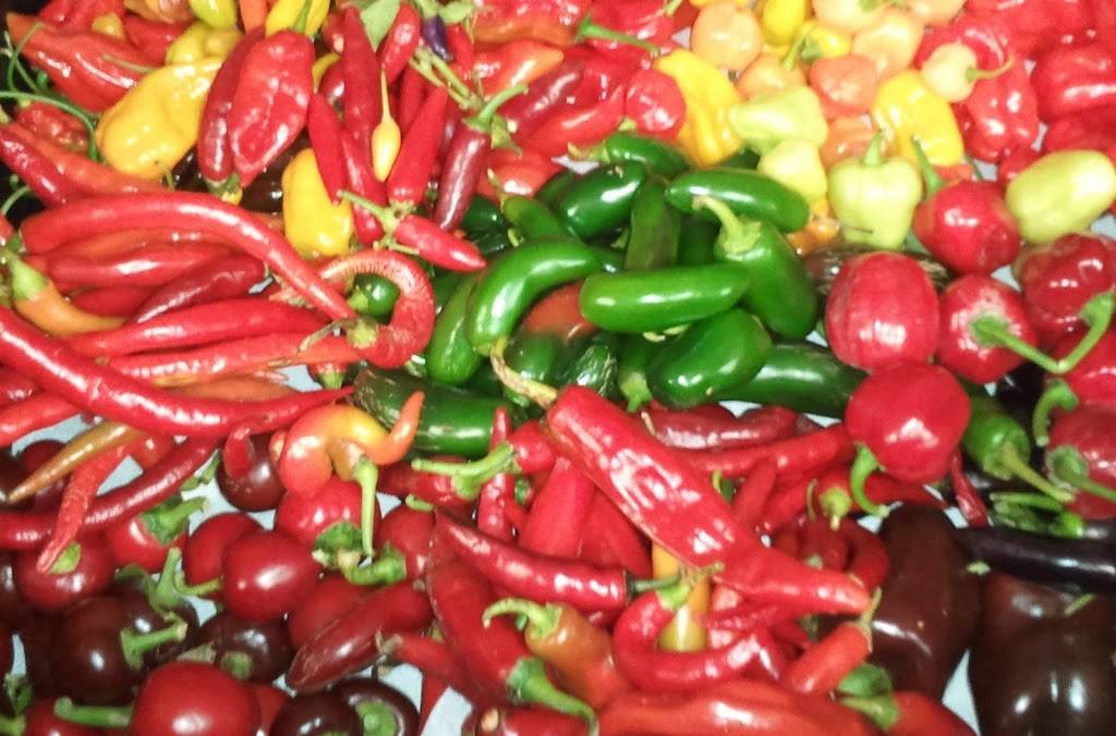 Lopez | restaurant | 2196 Lee Rd, Cleveland Heights, OH 44118, USA | 2169329000 OR +1 216-932-9000