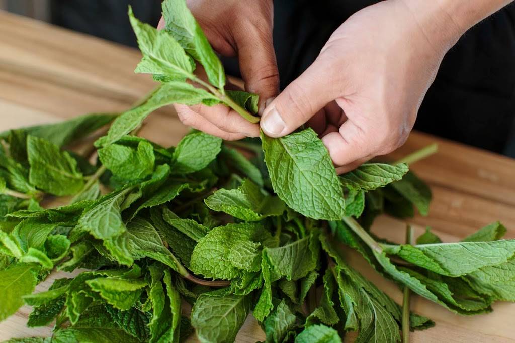 Yalla Mediterranean | restaurant | 1813 Ygnacio Valley Rd, Walnut Creek, CA 94598, USA | 9259345098 OR +1 925-934-5098