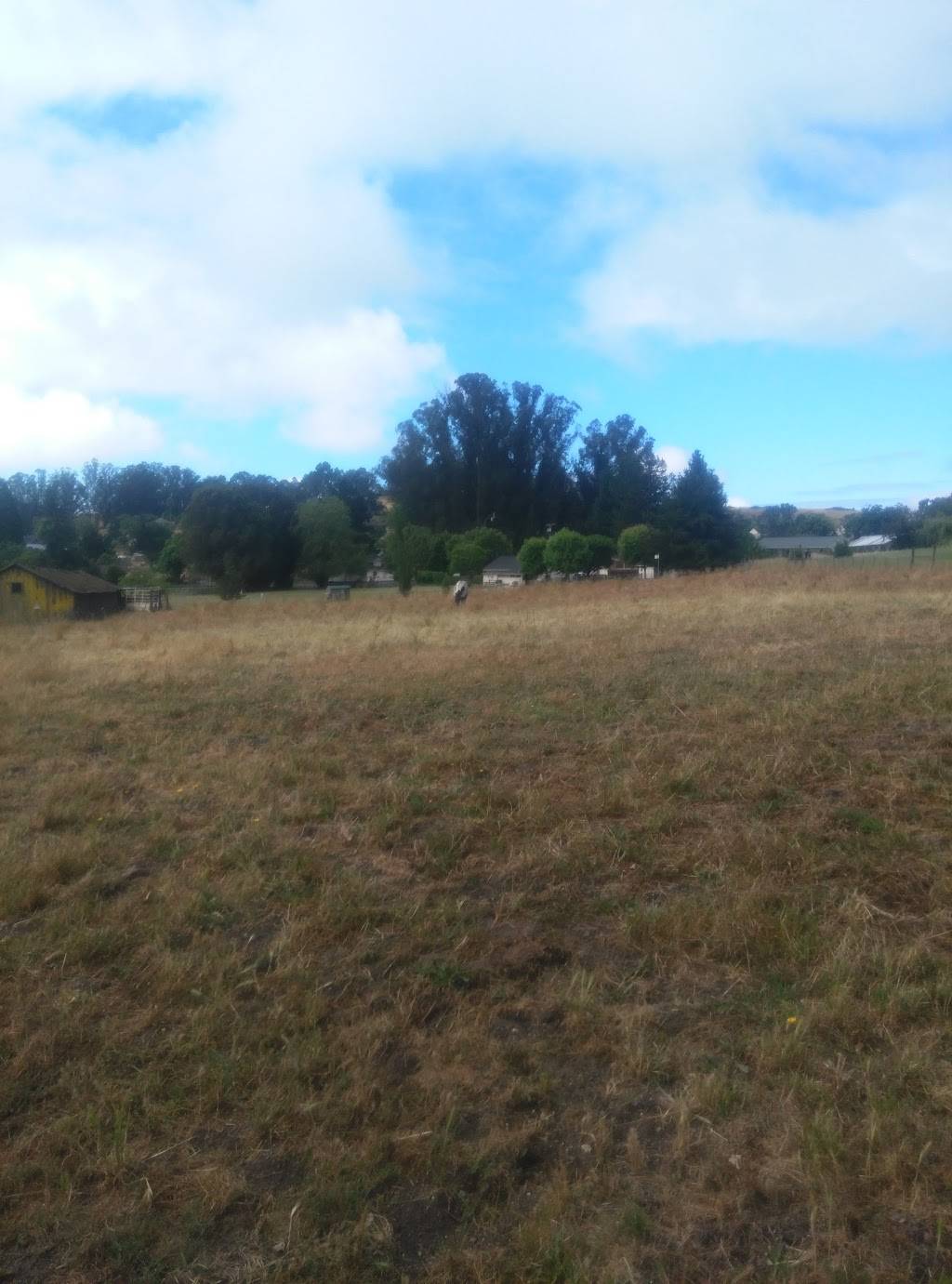 R&E Sweets Company | restaurant | Cotati, CA 94931, USA | 7077034944 OR +1 707-703-4944