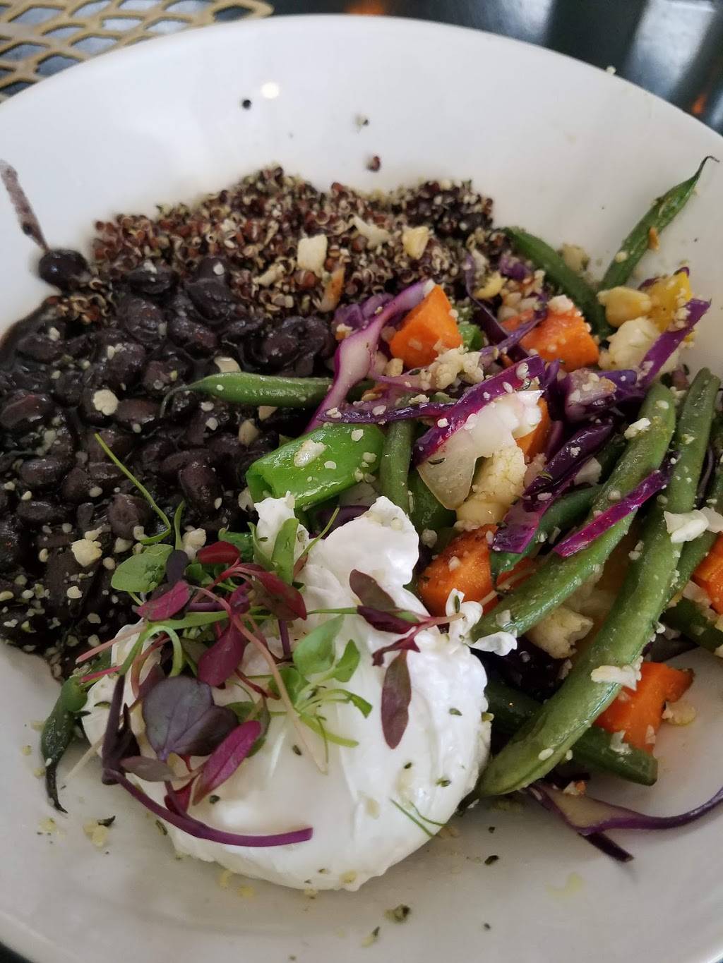 Little Lion Cafe | cafe | 1424 Sunset Cliffs Blvd, San Diego, CA 92107, USA | 6197566921 OR +1 619-756-6921