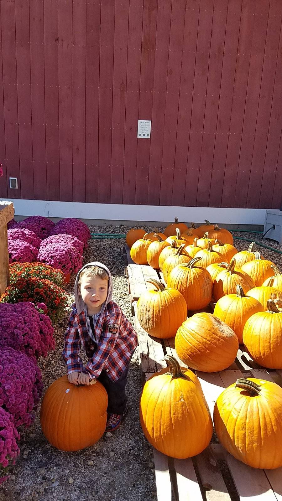 Outlook Farm Barn & Eatery | restaurant | 136 Main Rd, Westhampton, MA 01027, USA | 4135299388 OR +1 413-529-9388