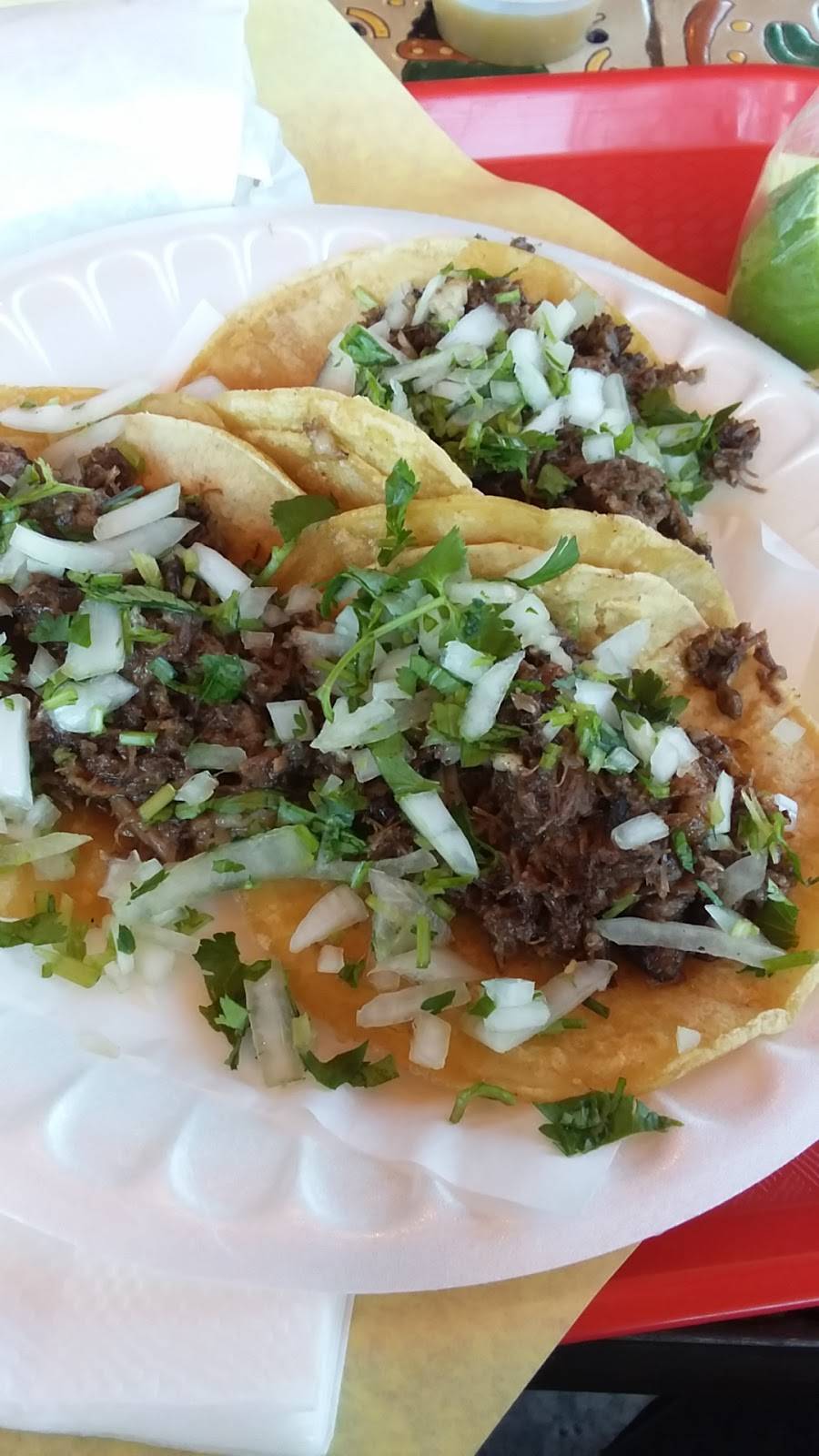 Los Jilbertos Taco Shop Riverside | restaurant | 4458, 1635 University Ave, Riverside, CA 92507, USA | 9516836748 OR +1 951-683-6748