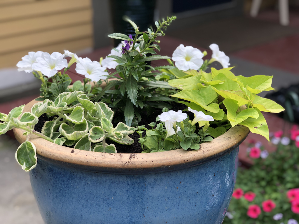 J.D. McCliments Gastropub | restaurant | U.S. 5, 26 Bellows Falls Rd, Putney, VT 05346, USA | 8023874499 OR +1 802-387-4499