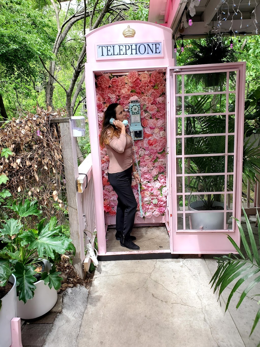 Taquero Mucho | restaurant | 508 West Ave, Austin, TX 78701, USA | 5122916867 OR +1 512-291-6867