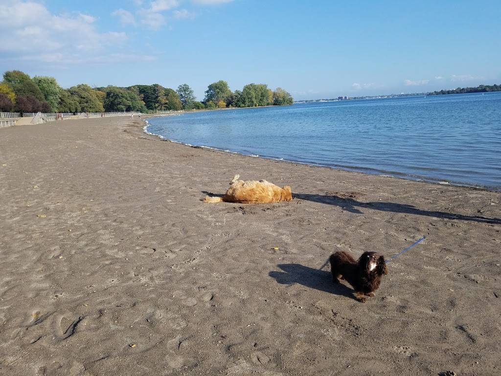 Beaver Island Golf Course | restaurant | 2136 Oakfield Rd, Grand Island, NY 14072, USA | 7164044214 OR +1 716-404-4214