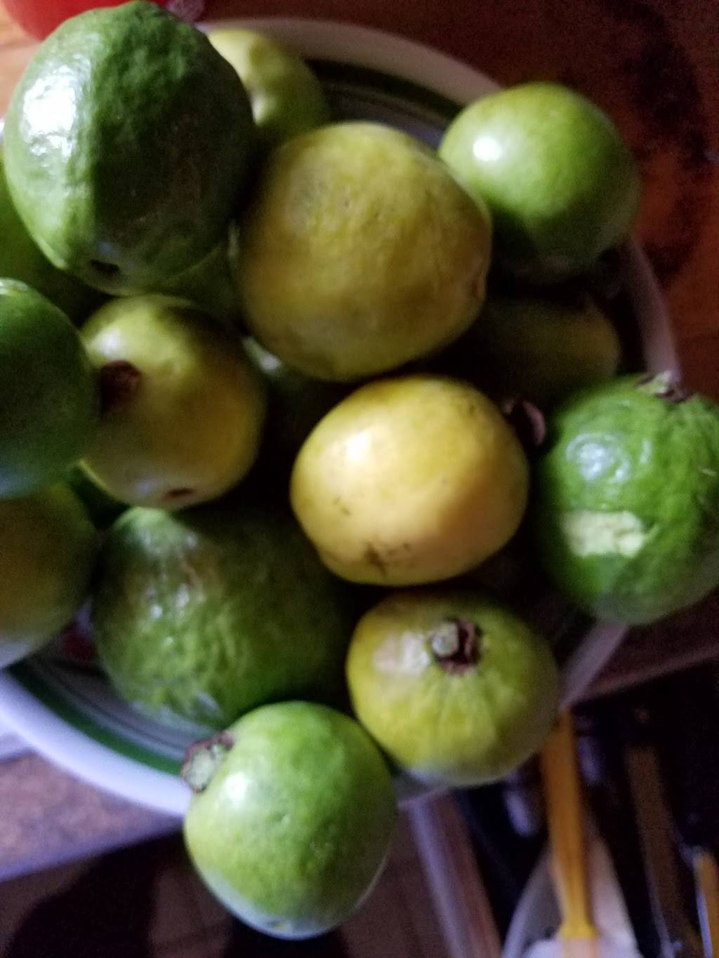 Mini Garden Café & Restaurant | restaurant | 6915 Foothill Blvd, Tujunga, CA 91042, USA | 8183531555 OR +1 818-353-1555