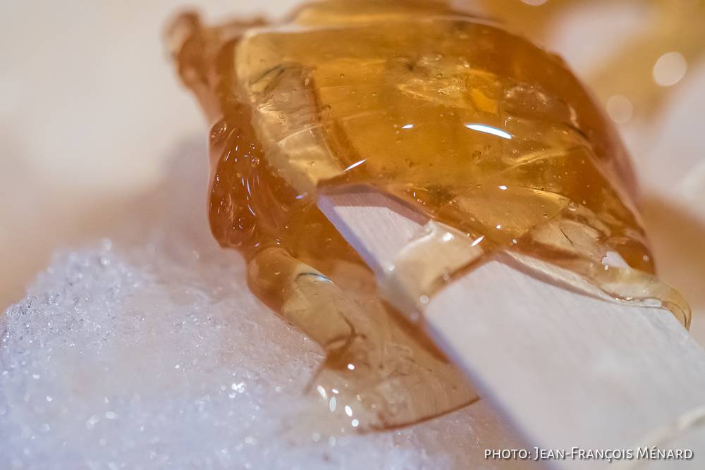 Cabane du Pic Bois | restaurant | 1468 Chemin Gaspé, Brigham, QC J2K 4B4, Canada | 4502636060 OR +1 450-263-6060