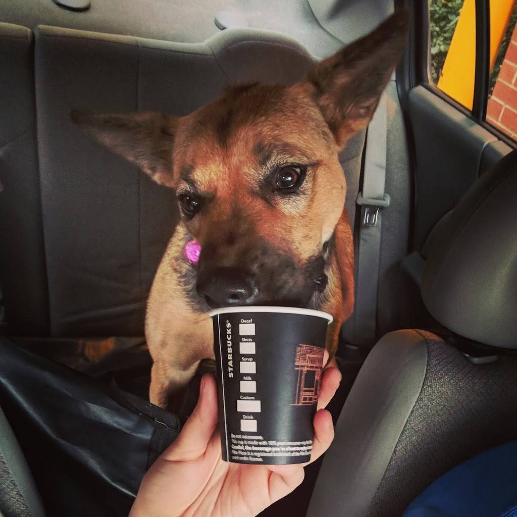 Starbucks | cafe | 820 Skokie Blvd, Northbrook, IL 60062, USA | 8472052561 OR +1 847-205-2561