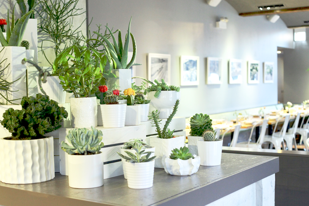 Quiote | restaurant | 2456 N California Ave, Chicago, IL 60647, USA | 3128788571 OR +1 312-878-8571