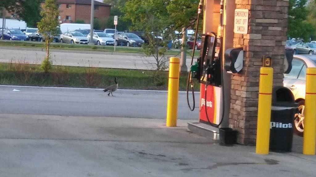 Pilot Travel Center | restaurant | 170 W North Ave, Carol Stream, IL 60188, USA | 6305100156 OR +1 630-510-0156