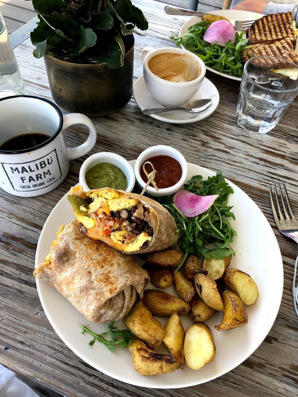 Malibu Farm Lido | restaurant | 3420 Via Oporto #101, Newport Beach, CA 92663, USA | 9497912096 OR +1 949-791-2096