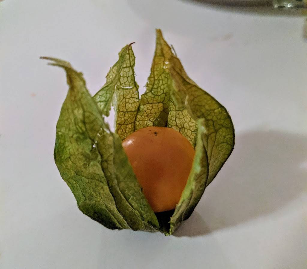 Restaurant Cest la Vie | restaurant | 708 Rue de Saint Jovite, Mont-Tremblant, QC J8E 3J8, Canada | 8196810779 OR +1 819-681-0779