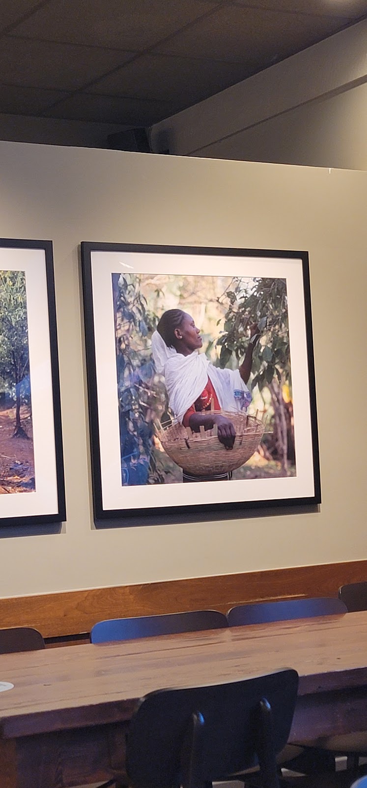 Starbucks | cafe | 1219 Bluemont Ave, Manhattan, KS 66502, USA | 7855373984 OR +1 785-537-3984