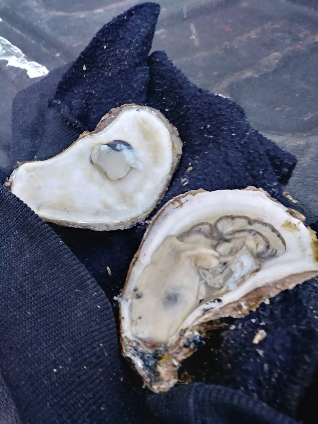 McMenamins Tavern | restaurant | 7170 Germantown Ave, Philadelphia, PA 19119, USA | 2152479920 OR +1 215-247-9920