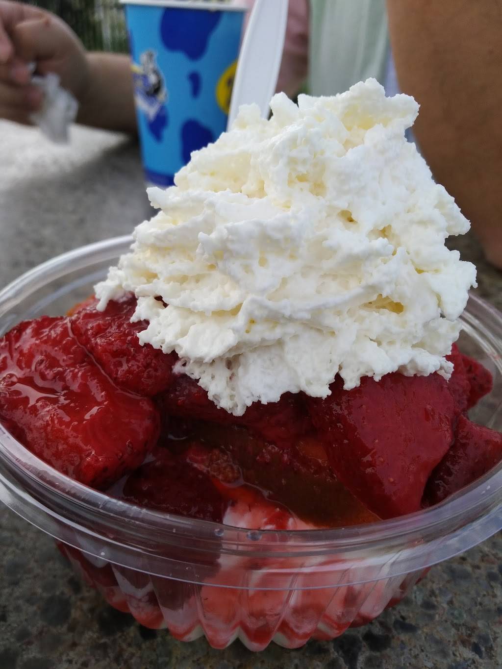 Chillers Ice Cream | restaurant | 7601 IN-60, Sellersburg, IN 47172, USA | 8122484071 OR +1 812-248-4071